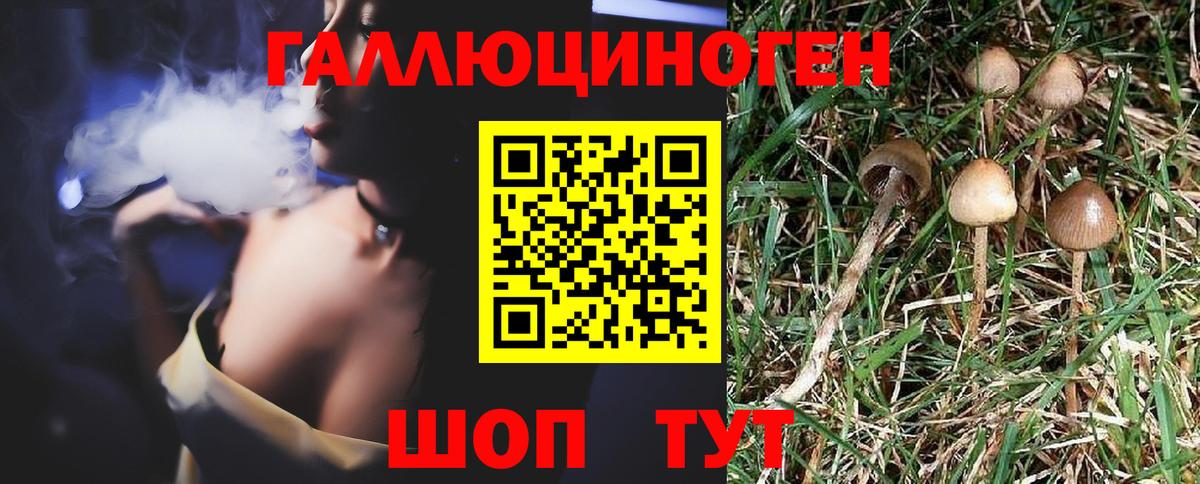 Галлюциногенные грибы MAGIC MUSHROOMS Кондопога