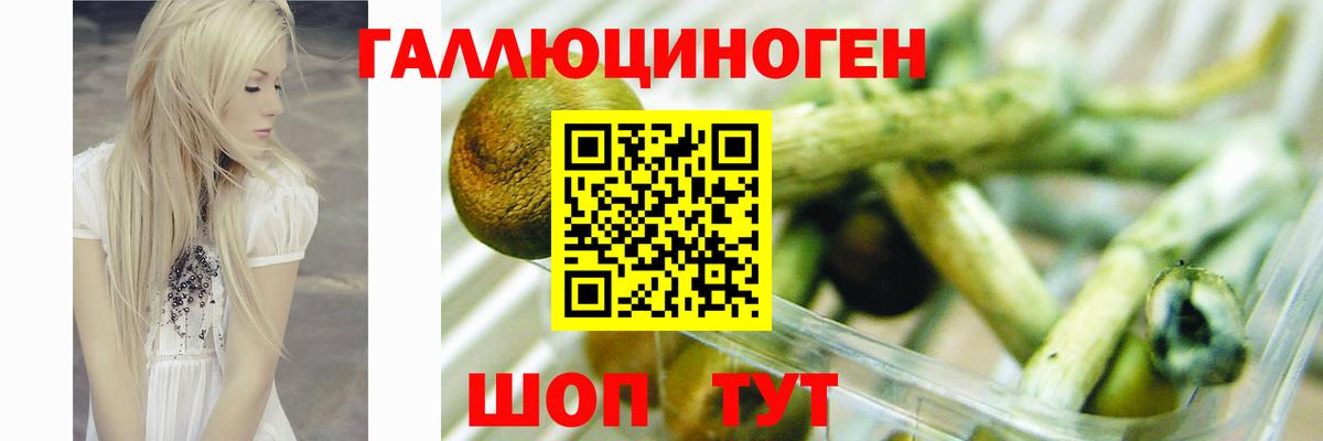 Галлюциногенные грибы Psilocybe  Галлюциногенные грибы Psilocybine cubensis  Кондопога  Вход с VPN 